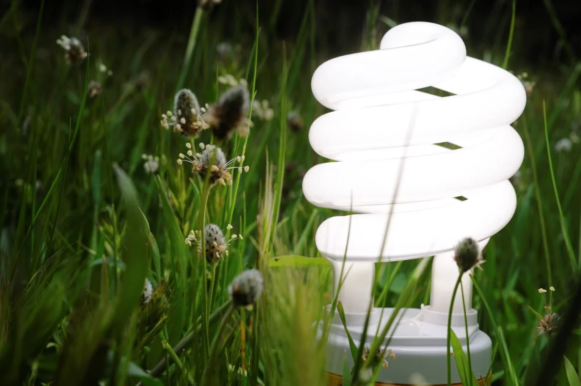 Investment Round 2017