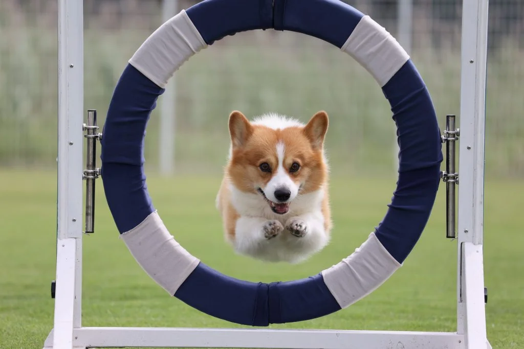 RF 100-400mm F5_6-8 IS USM