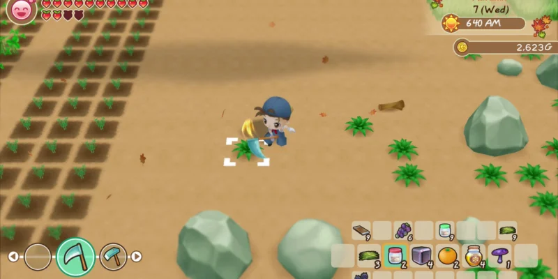 Story of Seasons Friends of Mineral Town 1