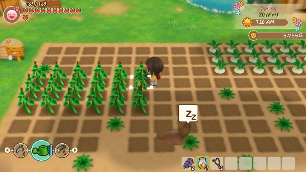 Story of Seasons Friends of Mineral Town 4