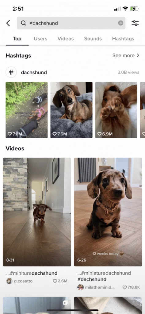 vodič za TikTok analitiku-7