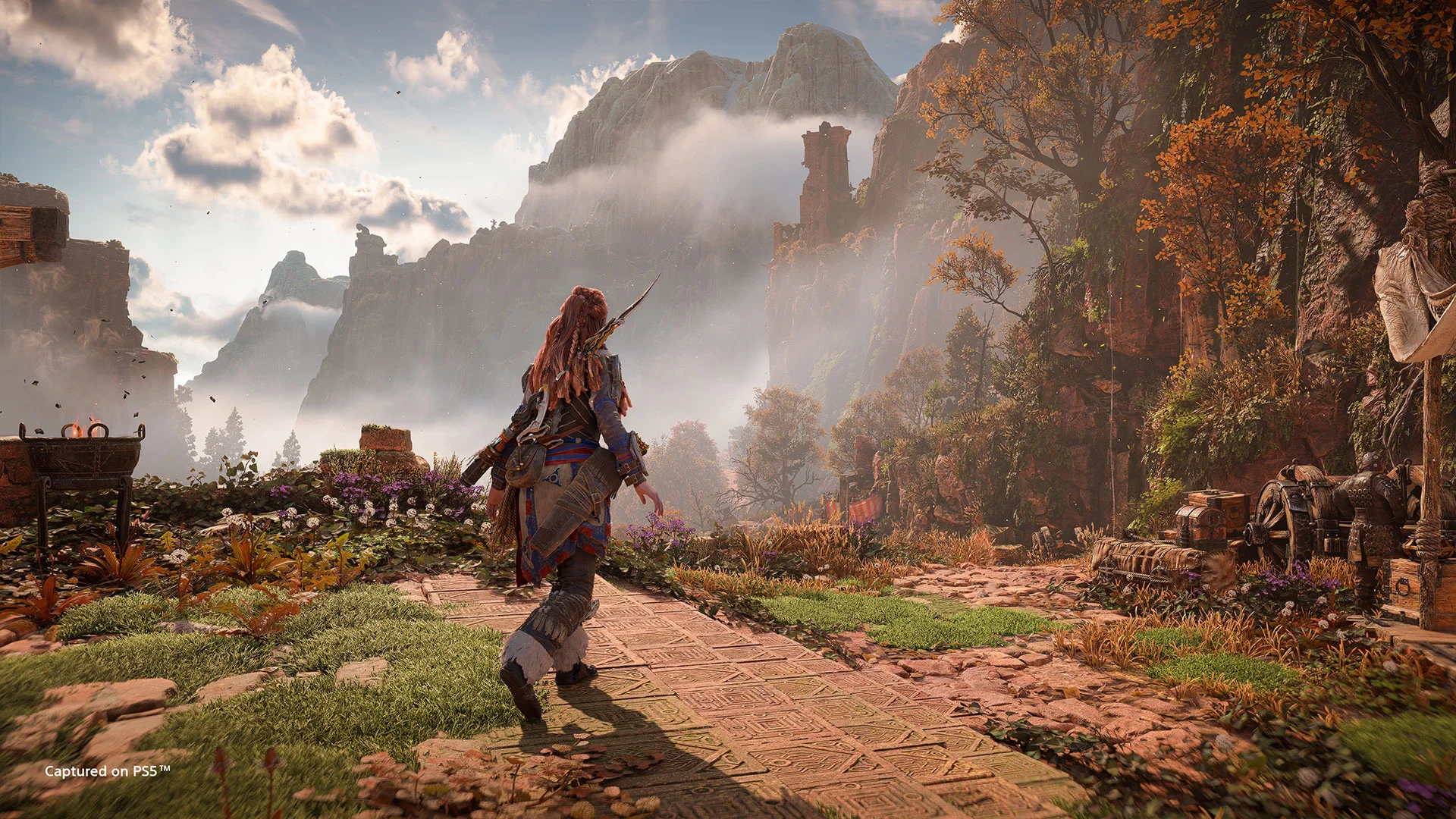 Horizon Forbidden West-2