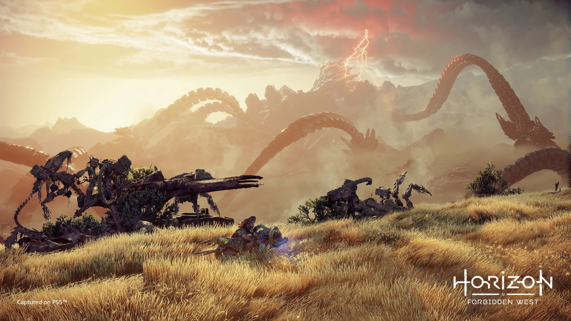 Horizon Forbidden West-3