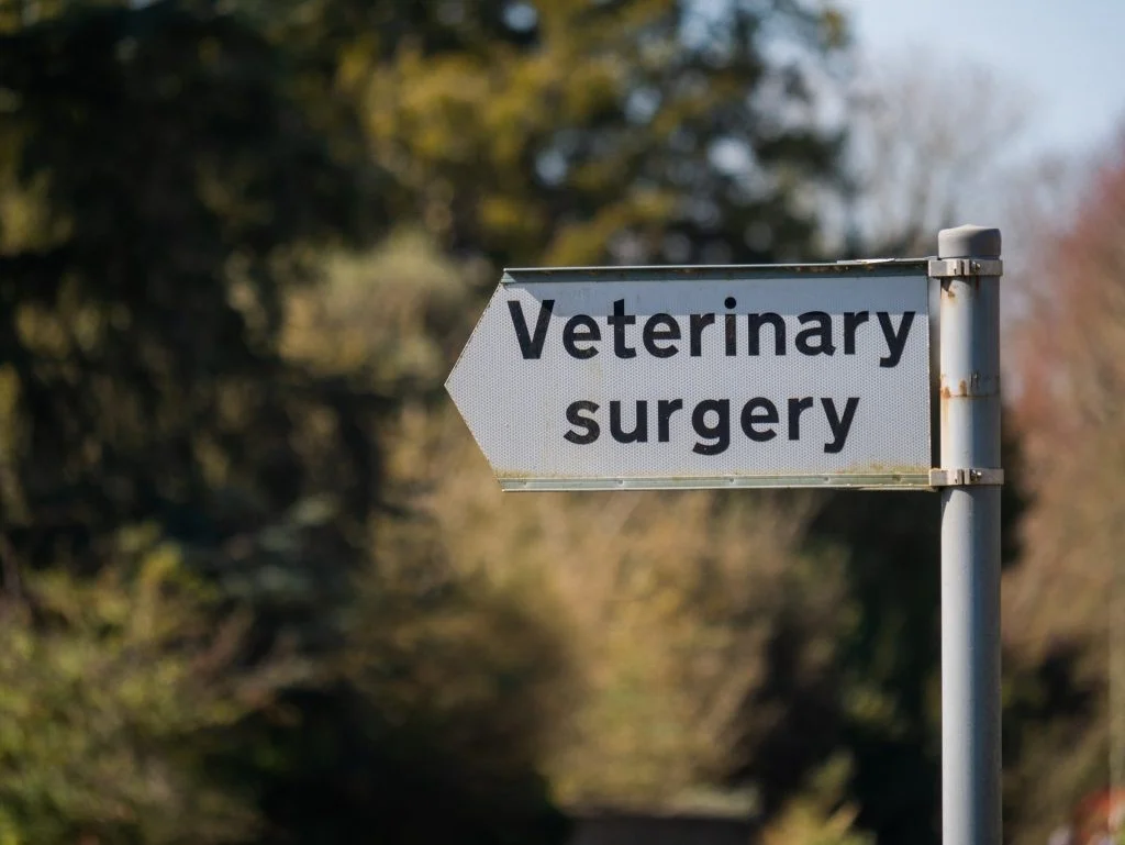 Veterinarska operacija
