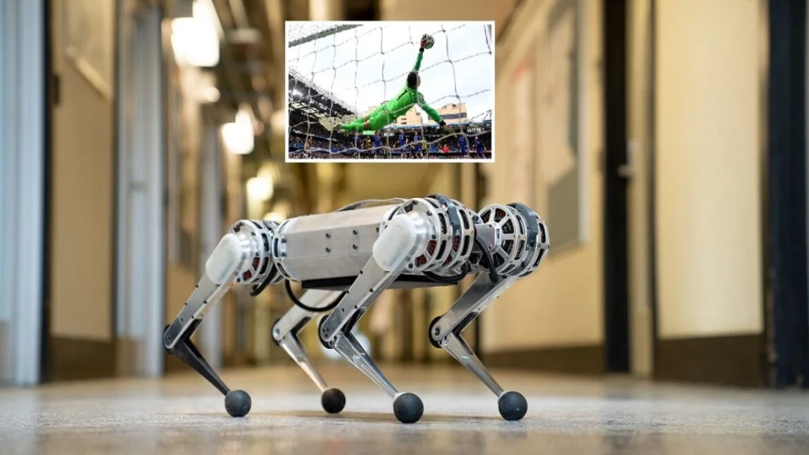 Mini Cheetah