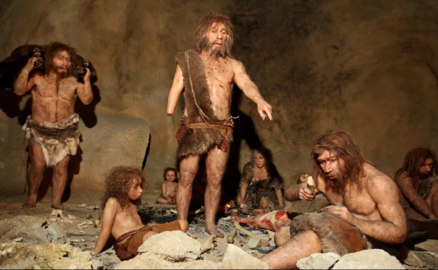 Homo Sapiens Neandertalac