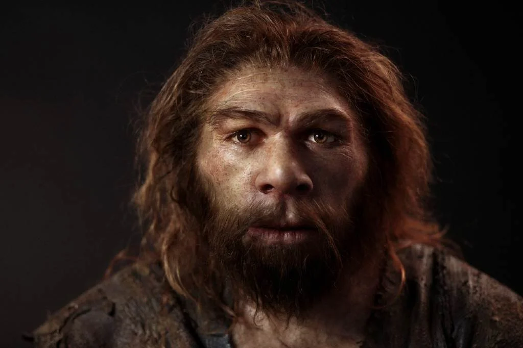 Šta je dovelo do izumiranja neandertalaca