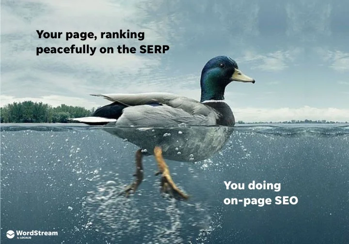 Page ranking
