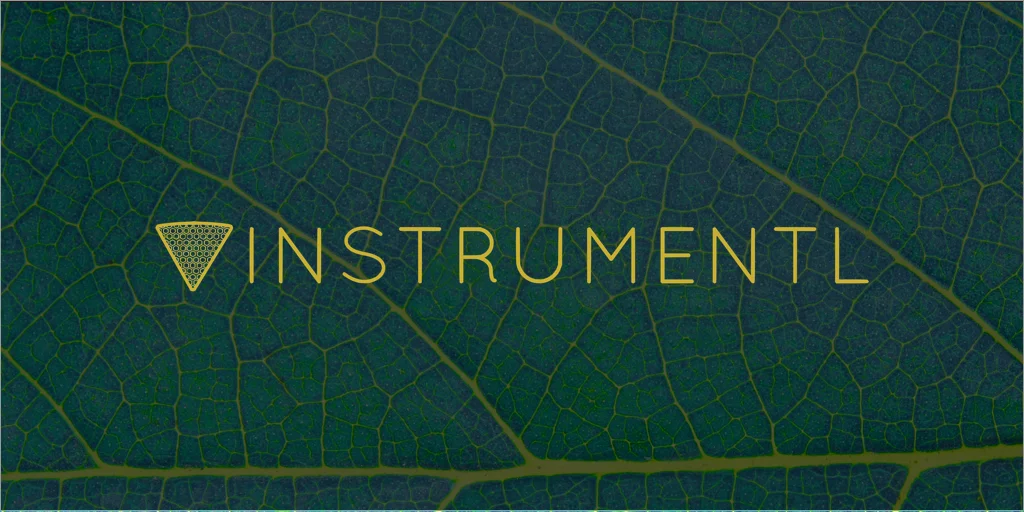 Instrumentl