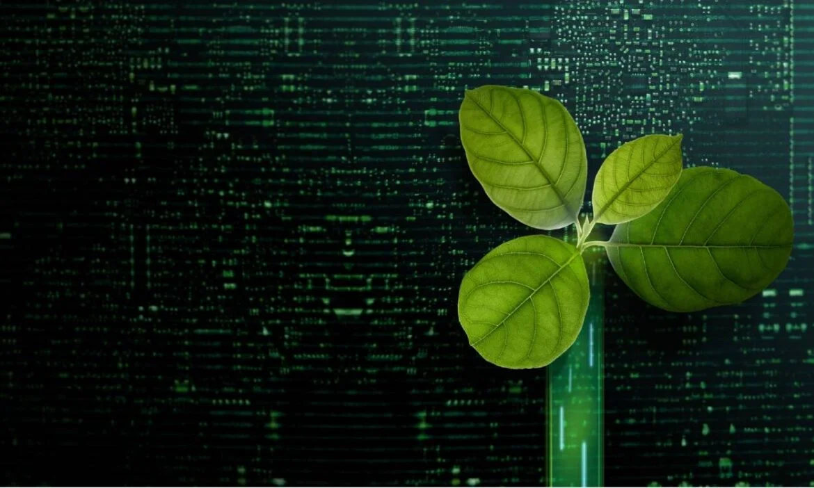 Green IT