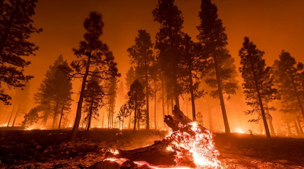 5G dronovi smanjuju opasnost od požara 2