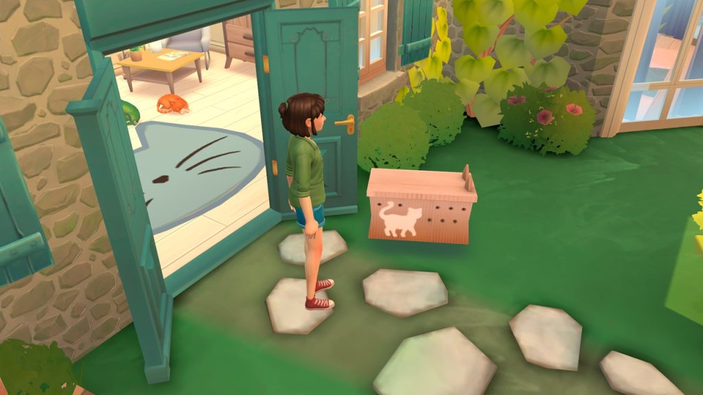 Cat Rescue Story 1