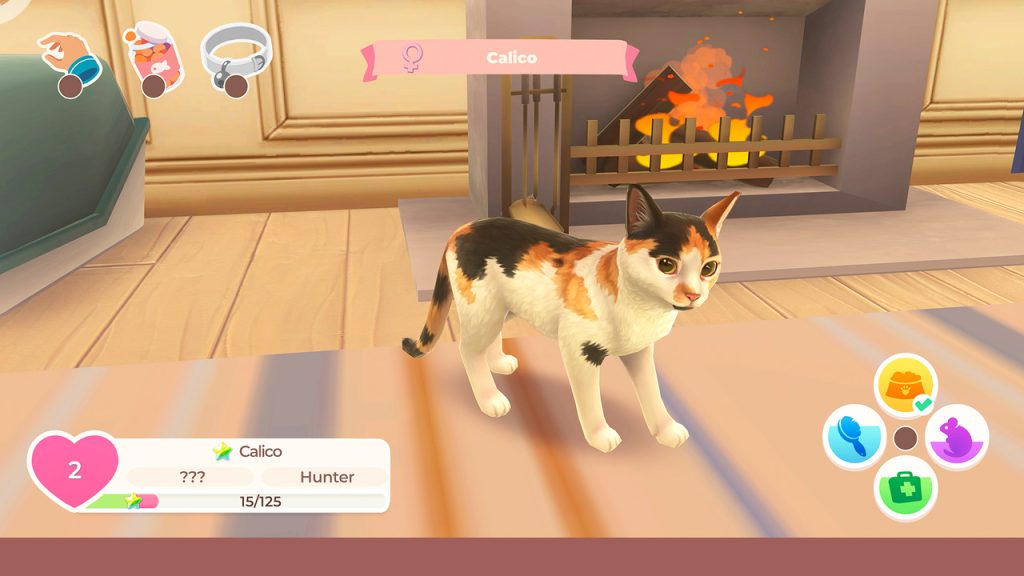 Cat Rescue Story 2