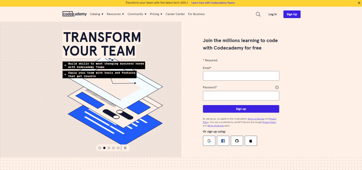 www.codecademy.com