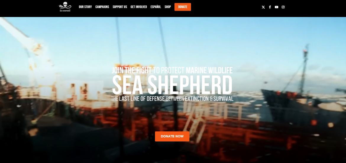 www.seashepherd.org