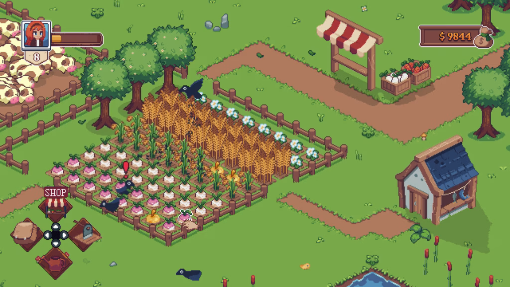 Tiny Little Farm 3