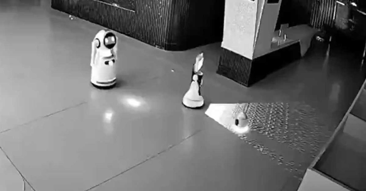 kineski-robot-otmicar