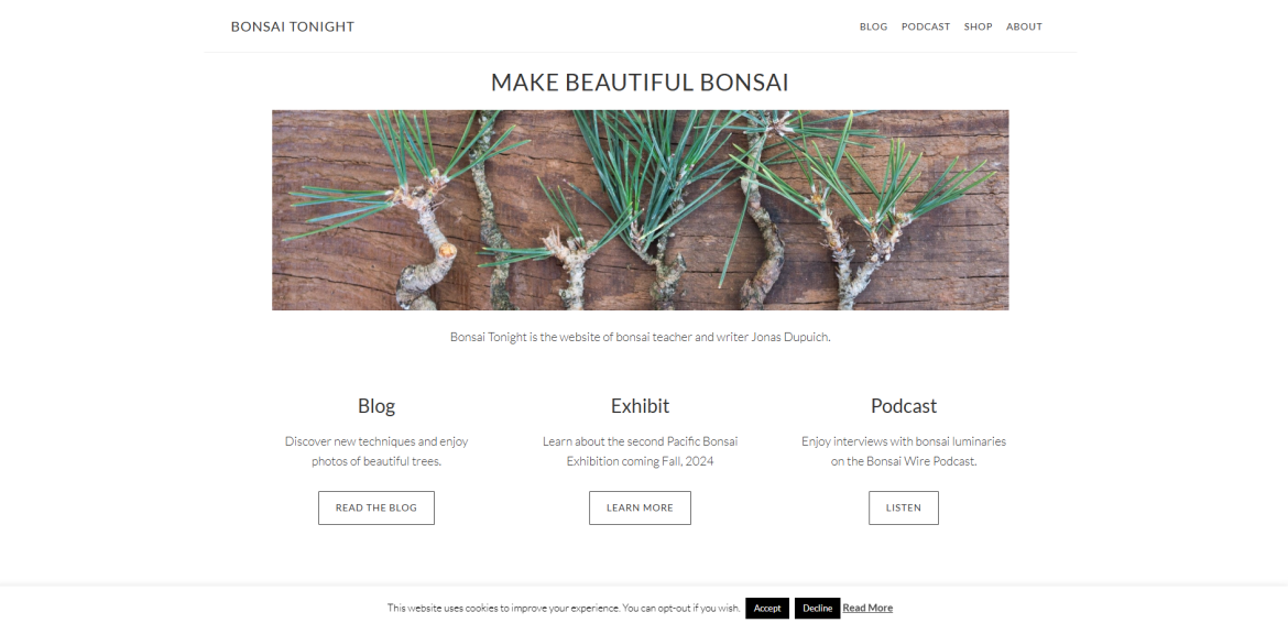 www.bonsaitonight.com