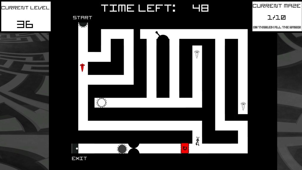 Bunny Mazes 3