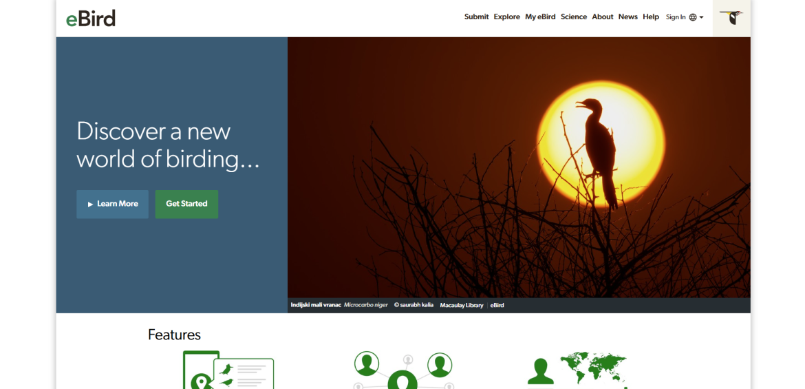 www.ebird.com