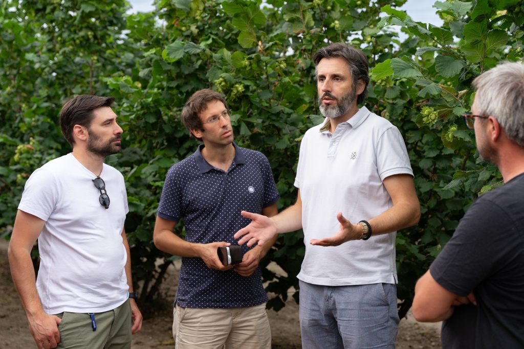 Treesury tim na plantaži leske