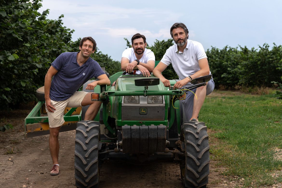 Treesury tim na plantaži leske 2