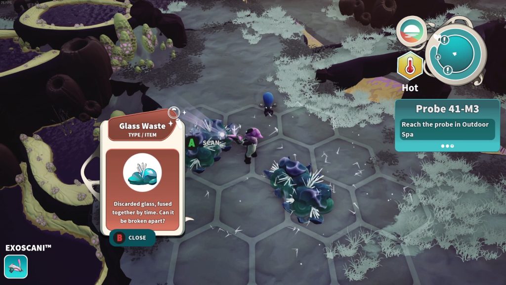 Distant Bloom 2