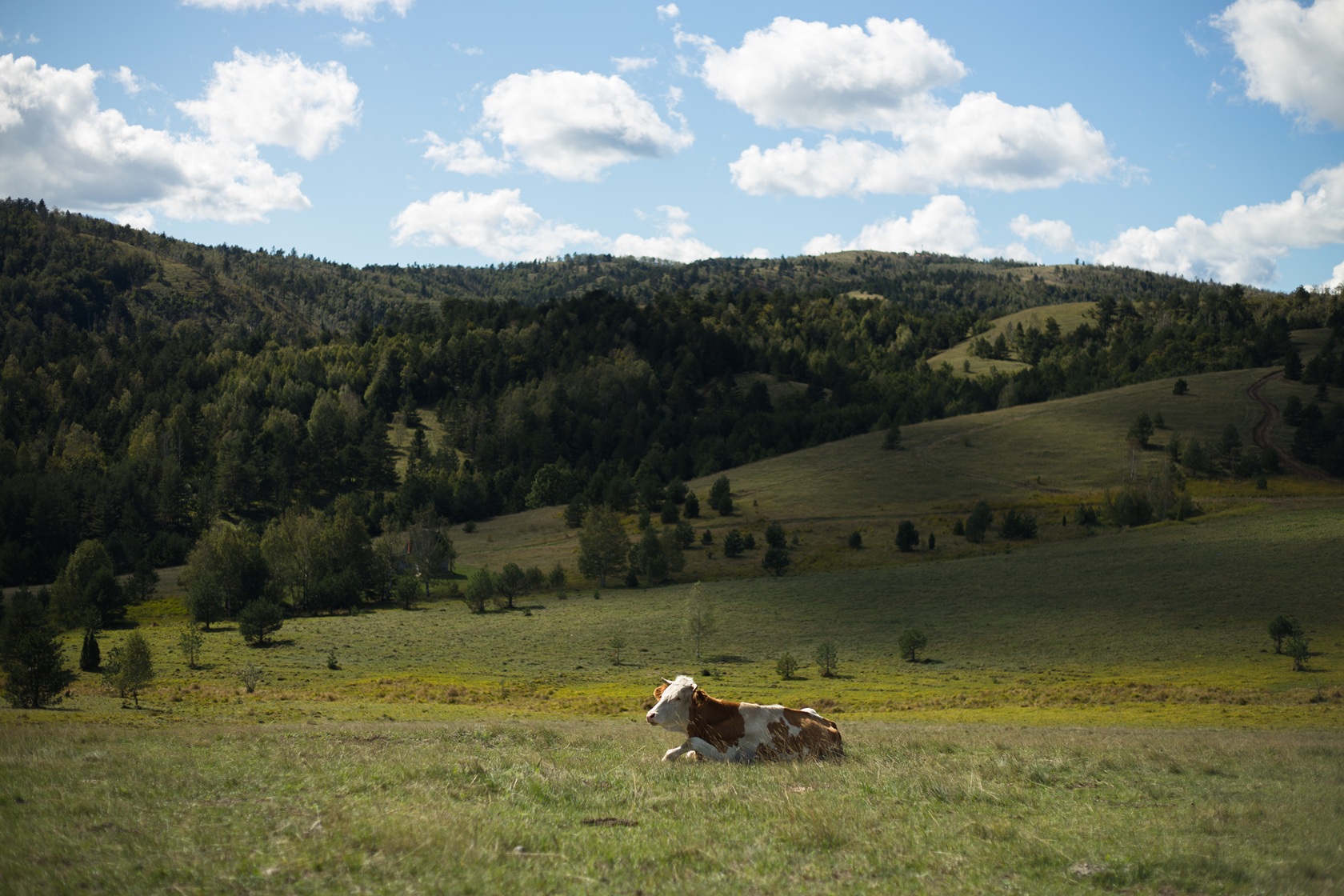 Međunarodni dan fizičke aktivnosti