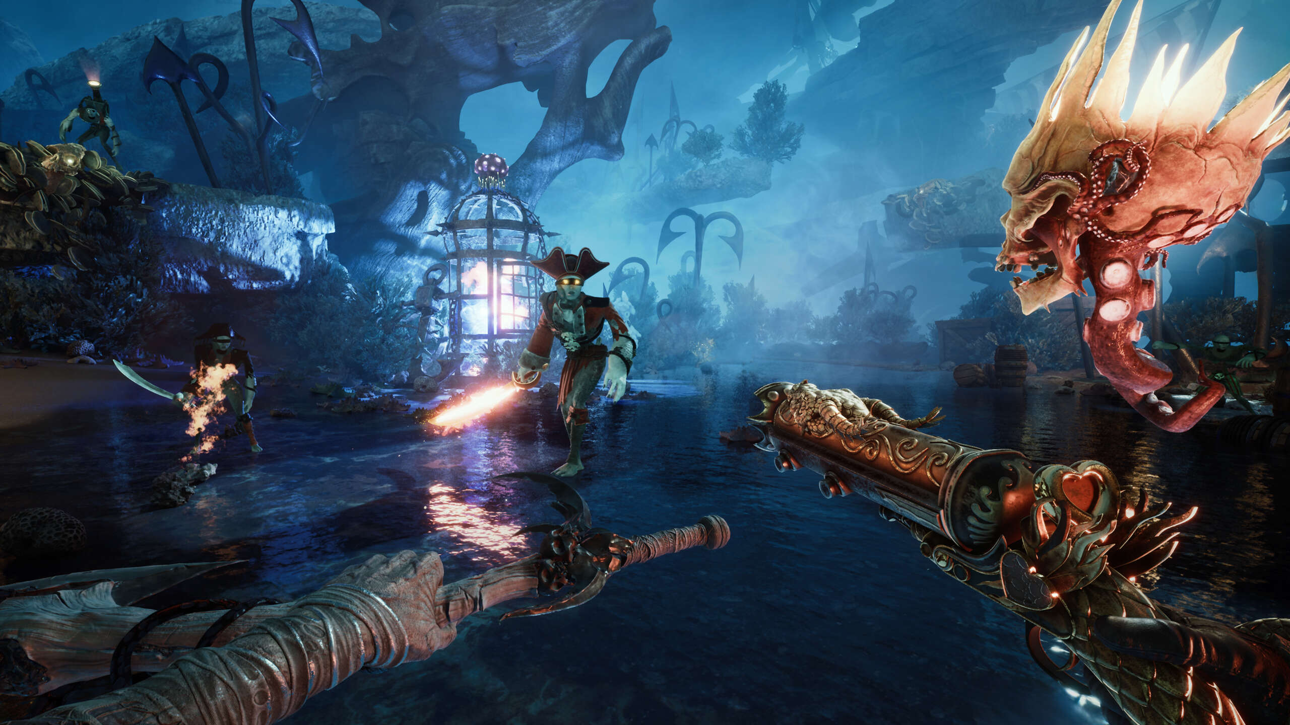 DAVY x JONES