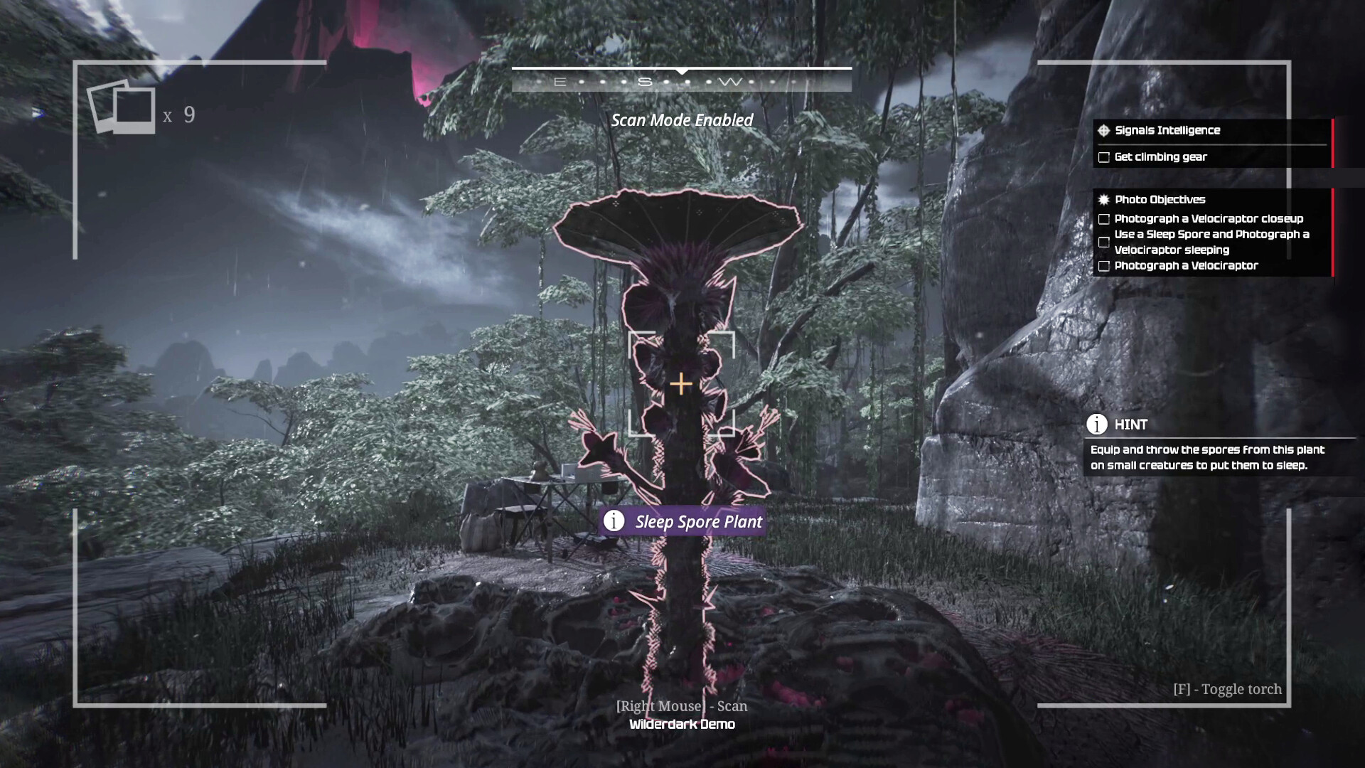 Wilderdark najava