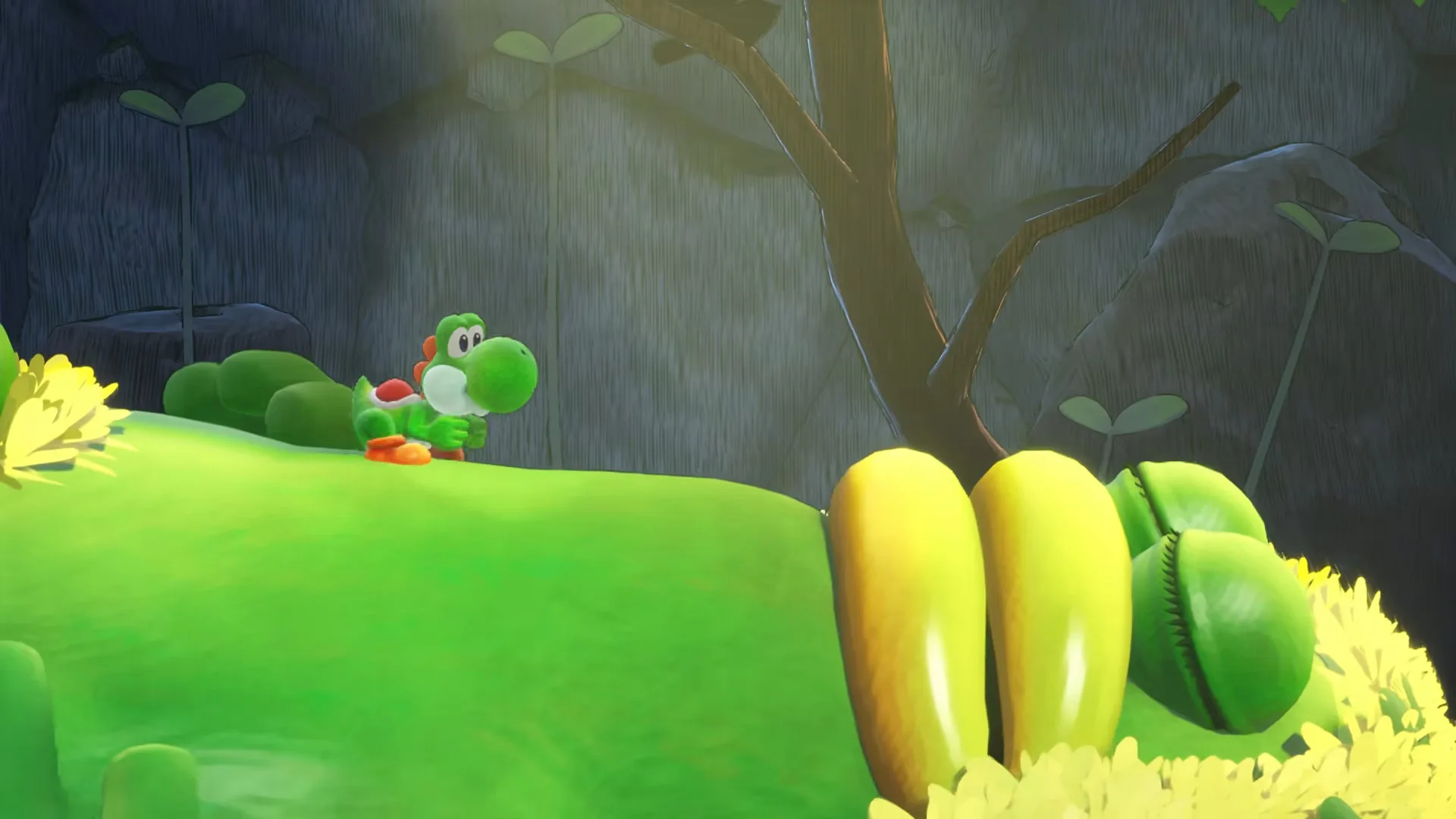 Yoshi