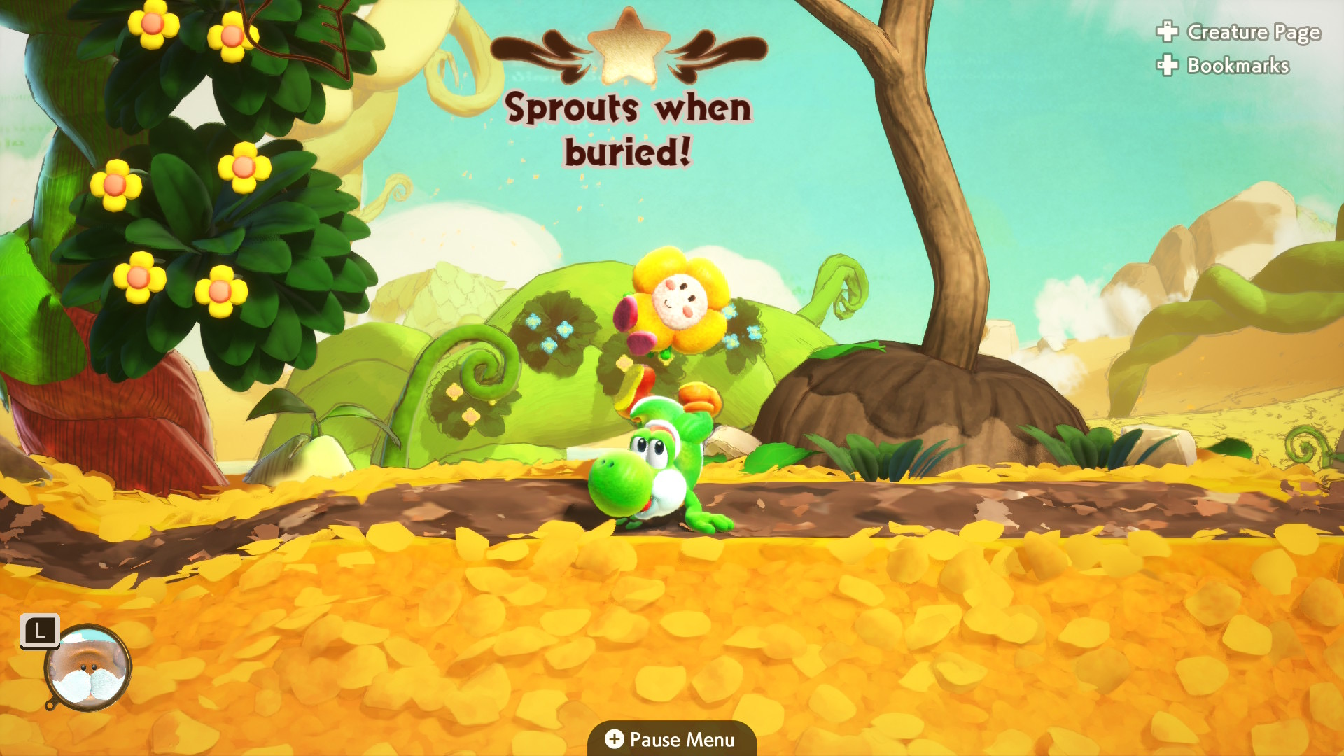 Yoshi