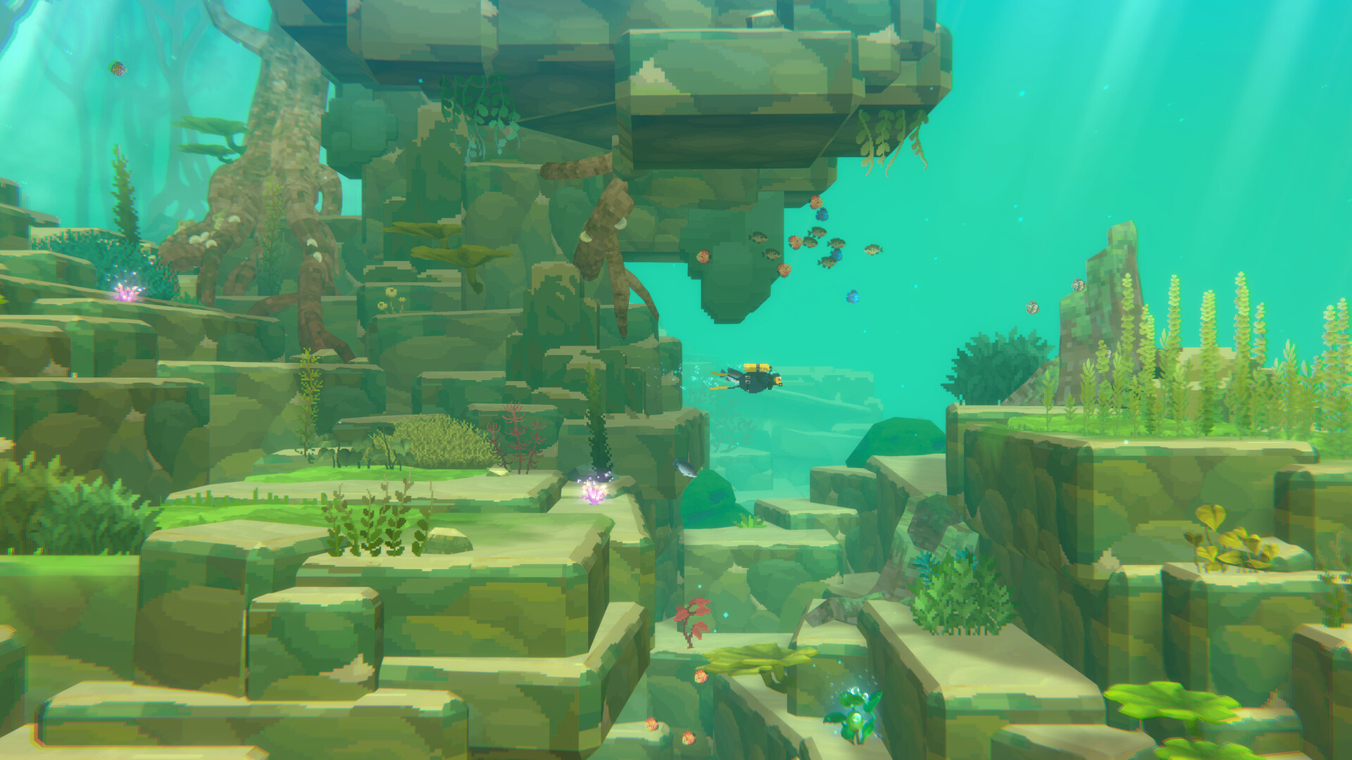 Dave the Diver in the Jungle