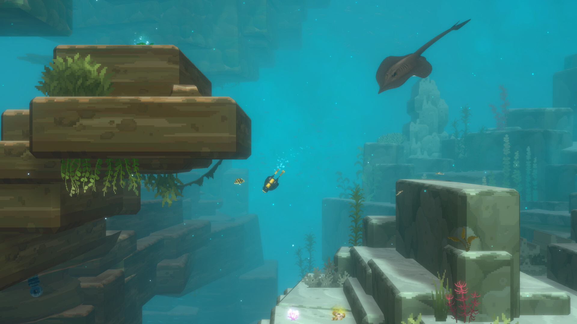 Dave the Diver in the Jungle