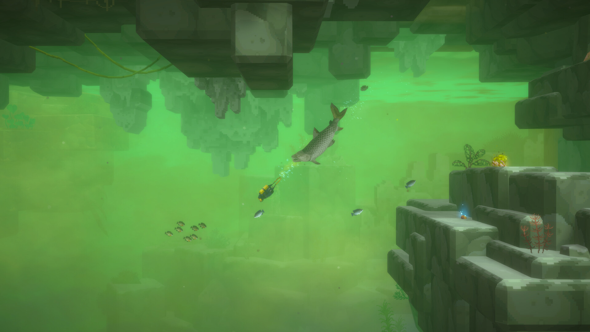 Dave the Diver in the Jungle
