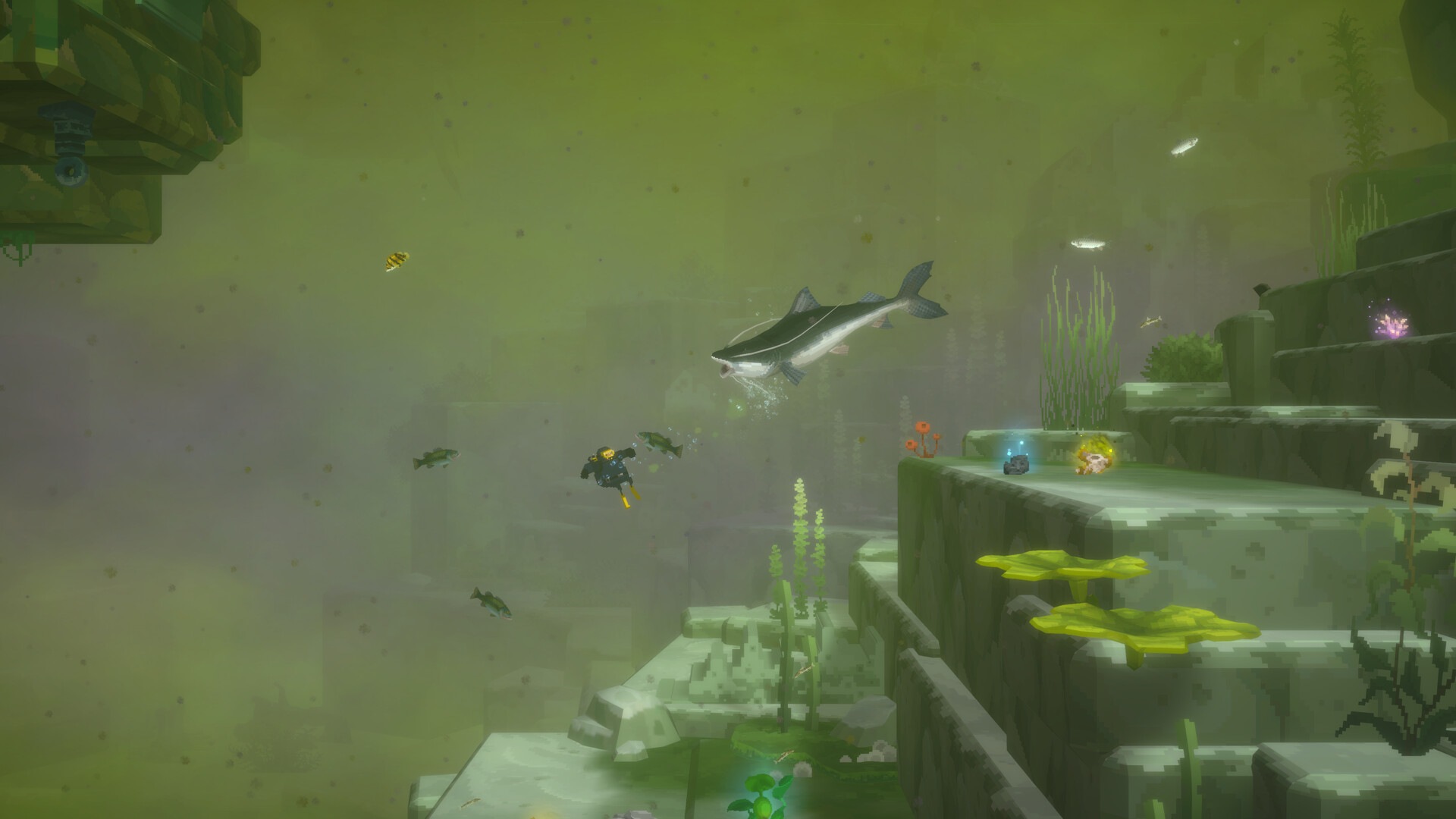 Dave the Diver in the Jungle