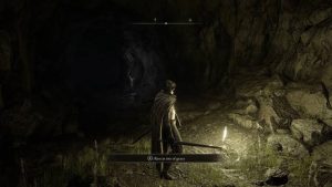 Elden Ring Tarnished Edition recenzija