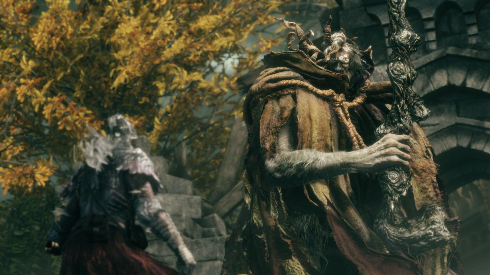 Elden Ring Tarnished Edition recenzija