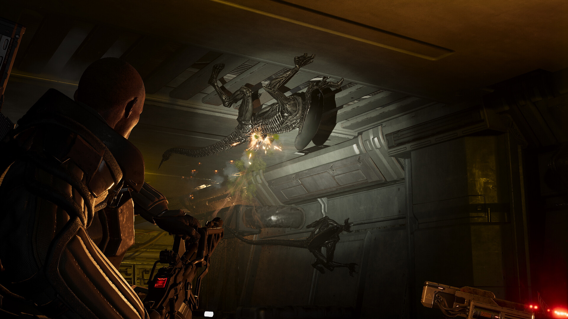 Aliens Fireteam Elite 2