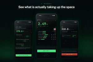 bytefall