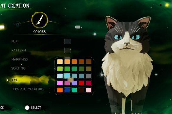 Warrior Cats Clans of the Forest 2 Warrior Cats Clans of the Forest