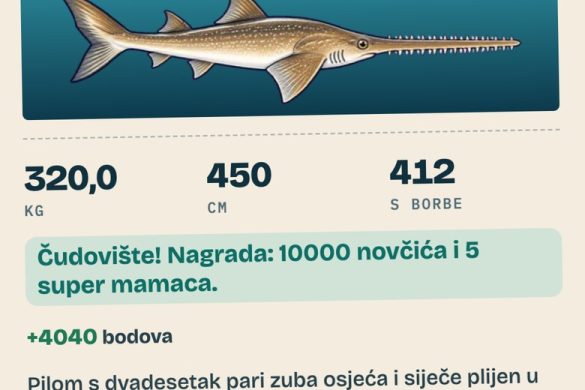 hr-moncard Tisch Fishing Game: Big Catch