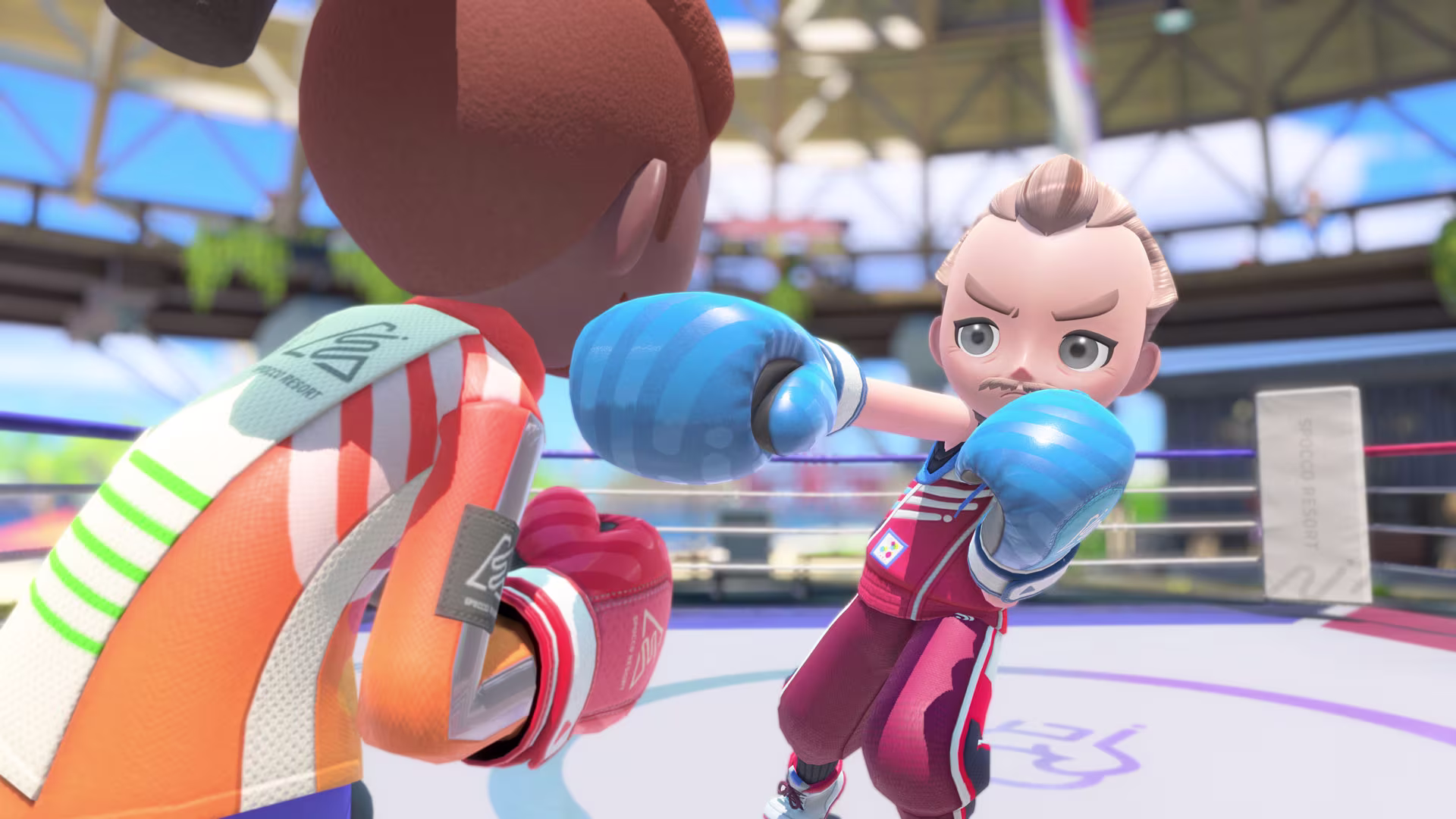 nintendo switch sports resort